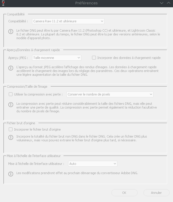 adobe digital negative settings